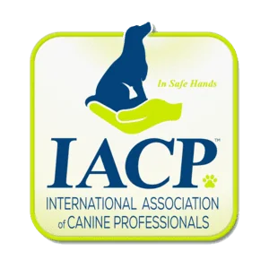International Association of Canine Professionals (IACP) member logo, with a paw-cradling icon and the tagline "In Safe Hands."