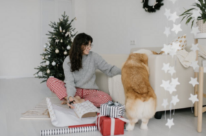 10 Best Christmas Gift Ideas for Dogs
