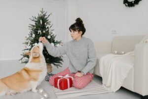 10 Best Christmas Gift Ideas for Dogs